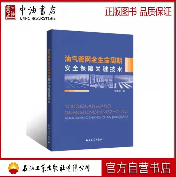 油氣管網全生命周期安全保障關鍵技術